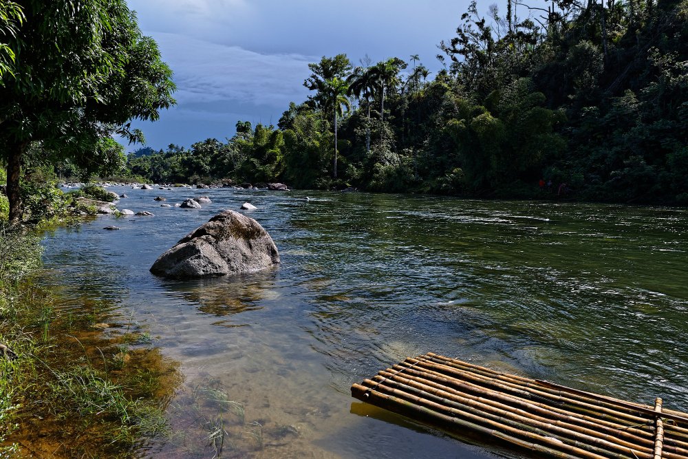 Pescaria esportiva e Ecoturismo com uma Familia ribeirinha da Amazônia